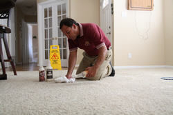 Carpet Cleaning Spotters