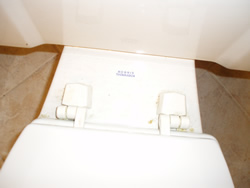 Toilet Before